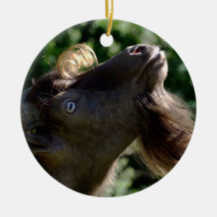 Billy Goat Julgransprydnad Keramik