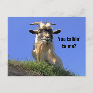 Billy Goat Photo Vykort