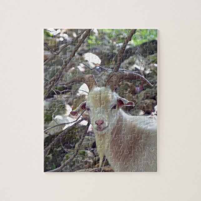 Billy Goat Pussel (Vertikal)