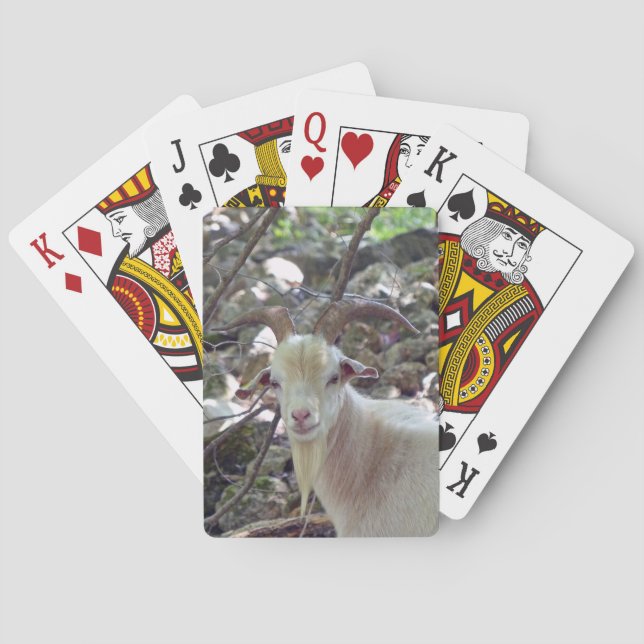 Billy Goat Spel Kort (Baksidan)