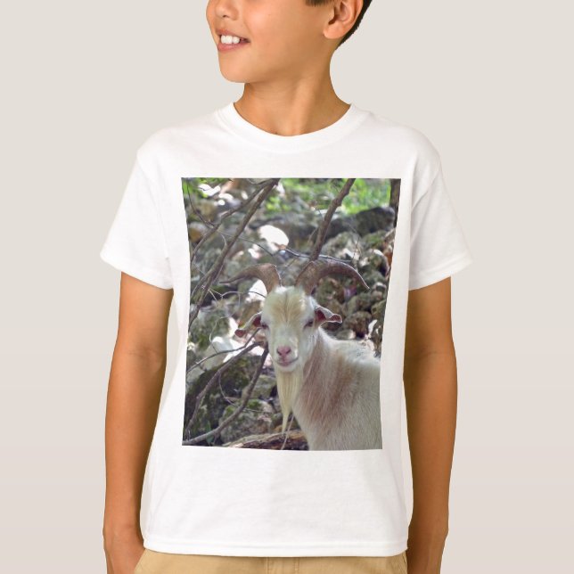 Billy Goat T Shirt (Framsida)