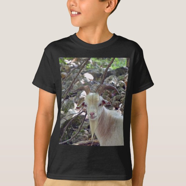 Billy Goat T-shirt (Framsida)