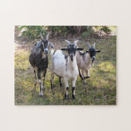 Billy Goats Puzzle Pussel