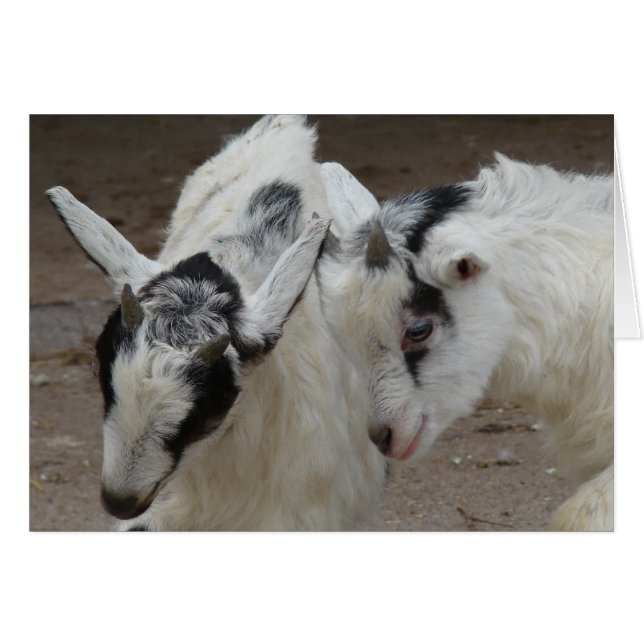 Billy Play Hälsningskort (Framsidan Horizontal)