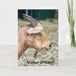 billygetfödelsedag kort