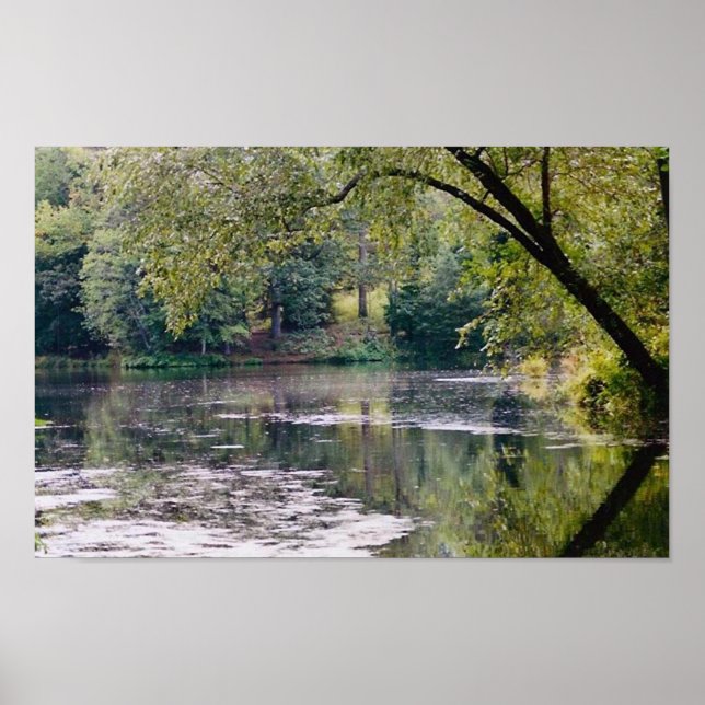 biltmore sjö poster (Framsidan)