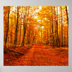 Bilturesque Autumn Way Ligcape Poster