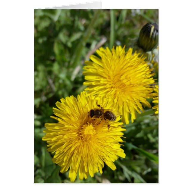 Bin i arbete hälsningskort (Framsidan)