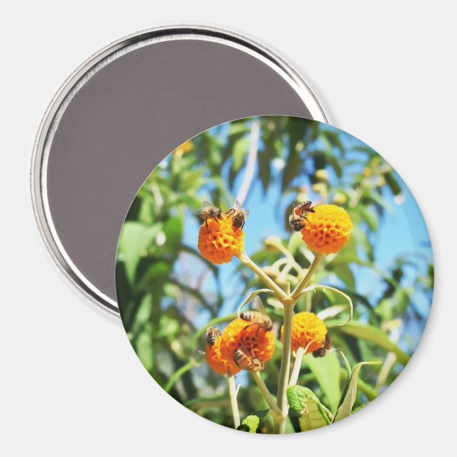 Bin i arbete magnet (Front/Back)