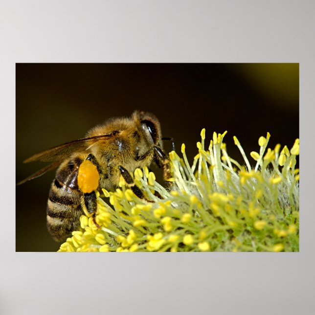 Bin i arbete poster (Framsidan)