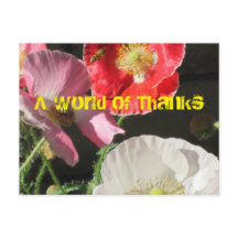 Bin i poppies-postkortet