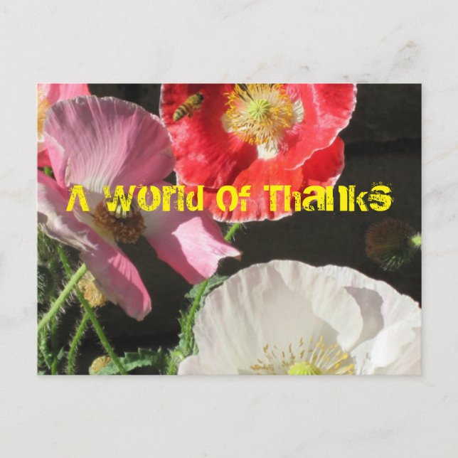 Bin i poppies-postkortet vykort (Framsida)