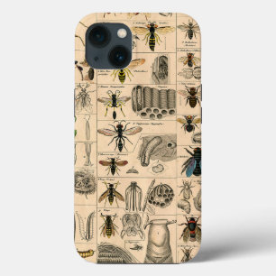 Bin Insekt Kryp Wasp Natural Natature Bees Paintin