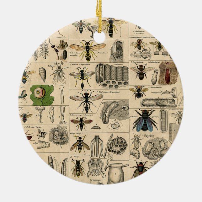 Bin Insekt Kryp Wasp Natural Natature Bees Paintin Julgransprydnad Keramik (Baksidan)