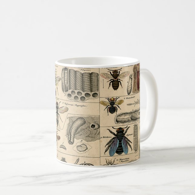 Bin Insekt Kryp Wasp Natural Natature Bees Paintin Kaffemugg (Framsida höger)