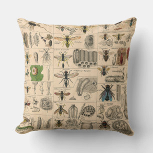 Bin Insekt Kryp Wasp Natural Natature Bees Paintin Kudde