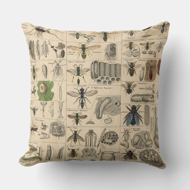 Bin Insekt Kryp Wasp Natural Natature Bees Paintin Kudde (Framsida)