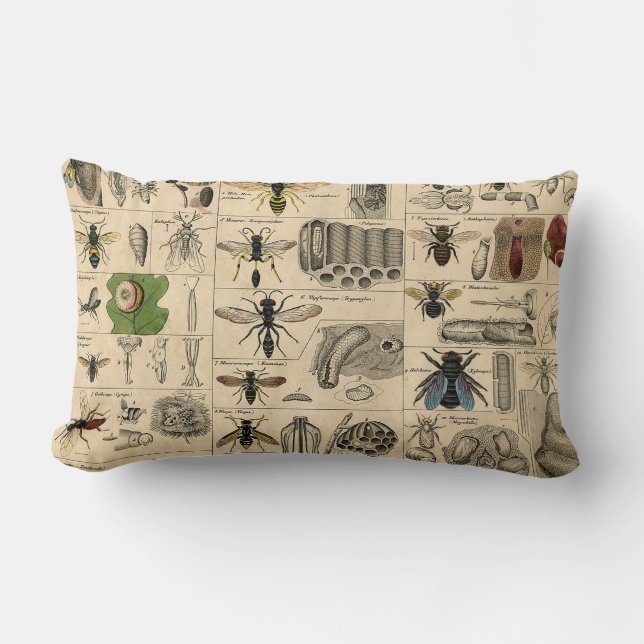 Bin Insekt Kryp Wasp Natural Natature Bees Paintin Lumbarkudde (Framsida)