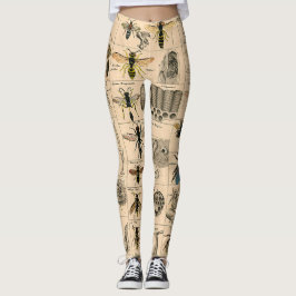 Bin Insekt Kryp Wasp Naturhistoriebin Leggings