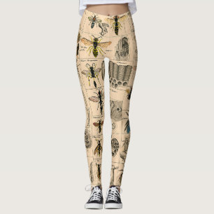 Bin Insekt Kryp Wasp Naturhistoriebin Leggings