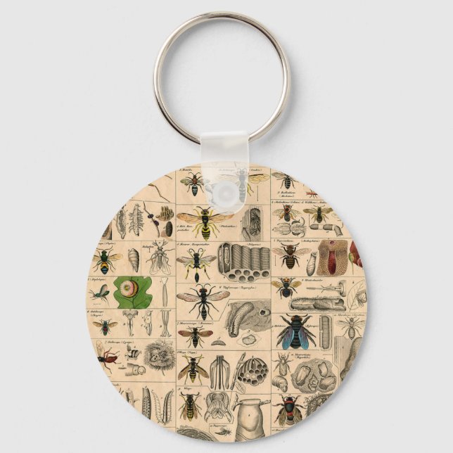 Bin Insekt Kryp Wasp Naturhistoriebin Nyckelring (Framsida)