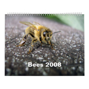 Bin Kalender