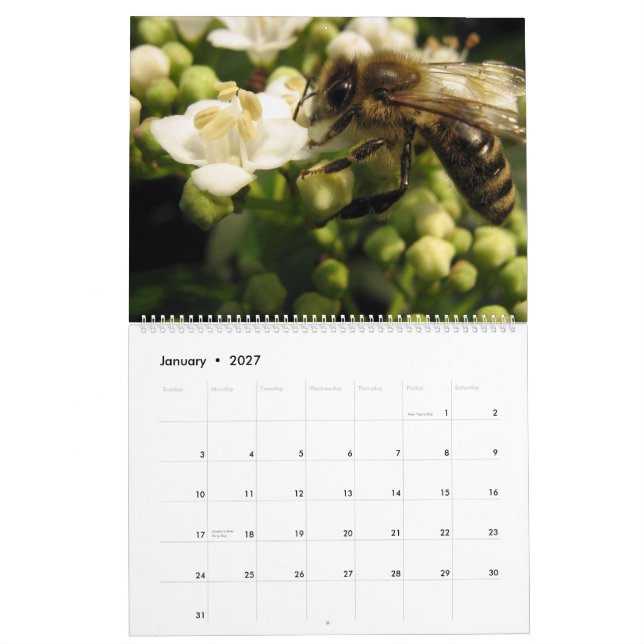 Bin Kalender (Jan 2027)