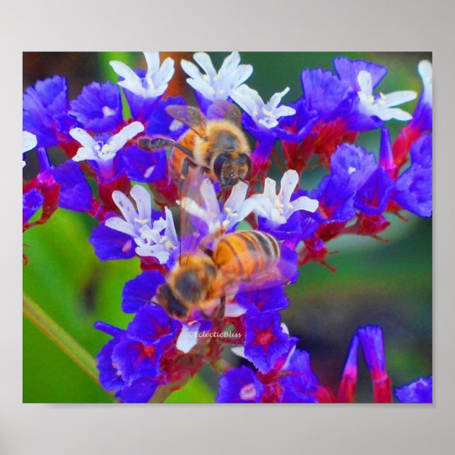 Bin, Kärlek och Bliss Poster (Framsidan)