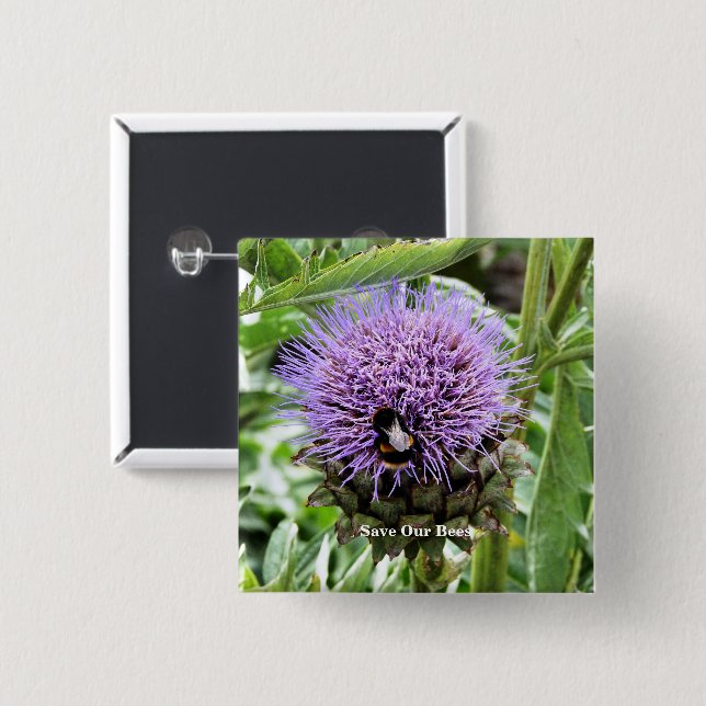 BIN  KNAPP (Framsida & baksida)