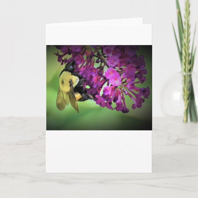 Bin, kort (Framsida)