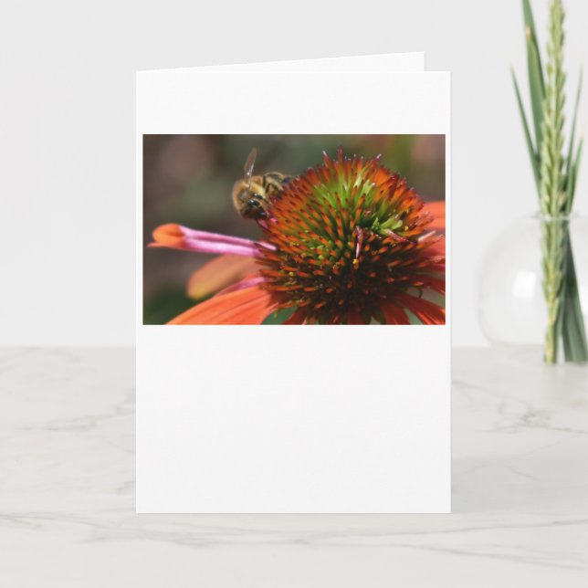 Bin, kort (Framsida)