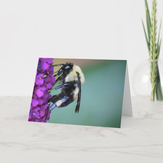 Bin, kort (Framsida)