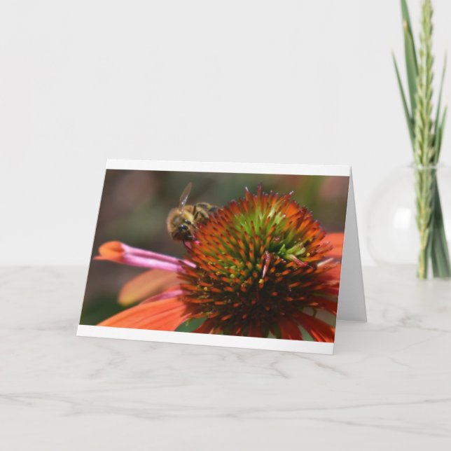 Bin, kort (Framsida)