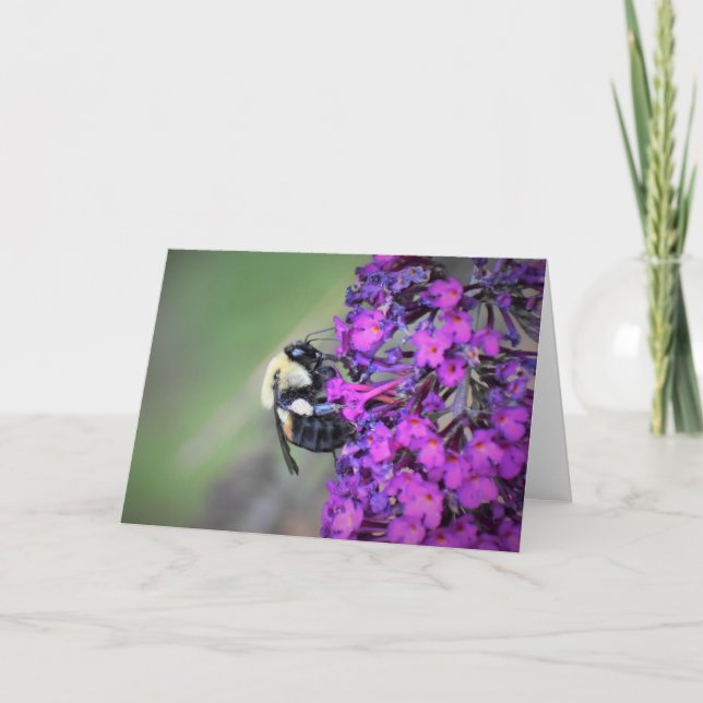 Bin, kort (Framsida)