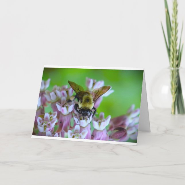 Bin, kort (Framsida)