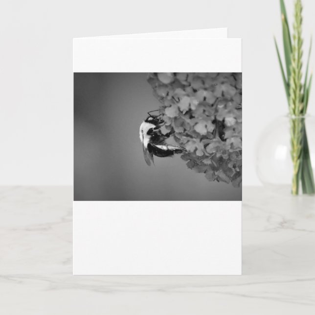 Bin, kort (Framsida)