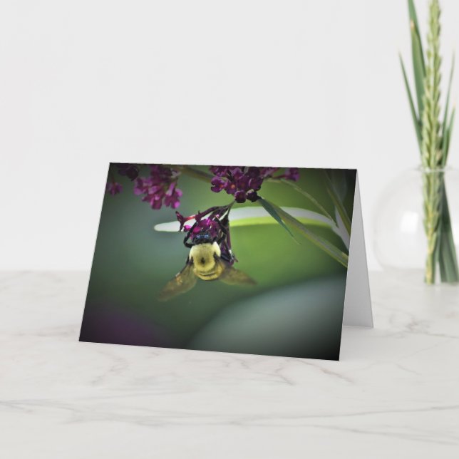 Bin, kort (Framsida)