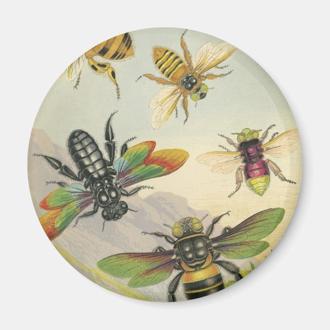 Bin Magnet (Framsidan)