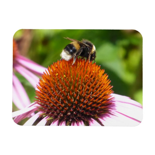 BIN MAGNET (Horisontell)