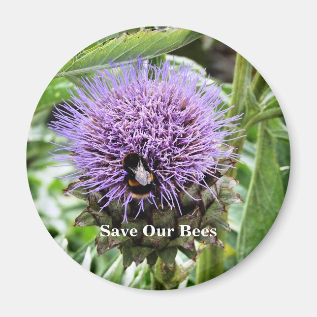 BIN   MAGNET (Framsidan)