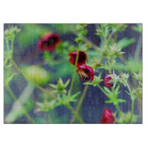 Bin med rött blomma