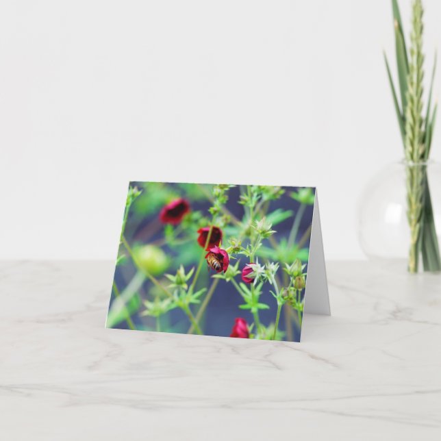 Bin med rött blomma kort (Framsida)