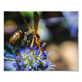 Bin Medveten 10 x 8 tum, Kodak Pro Photo Papper (s Fototryck