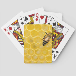 bin och bikaka casinokort