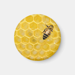 bin och bikaka magnet