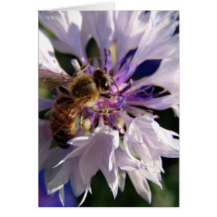 Bin och blå blomma hälsningskort