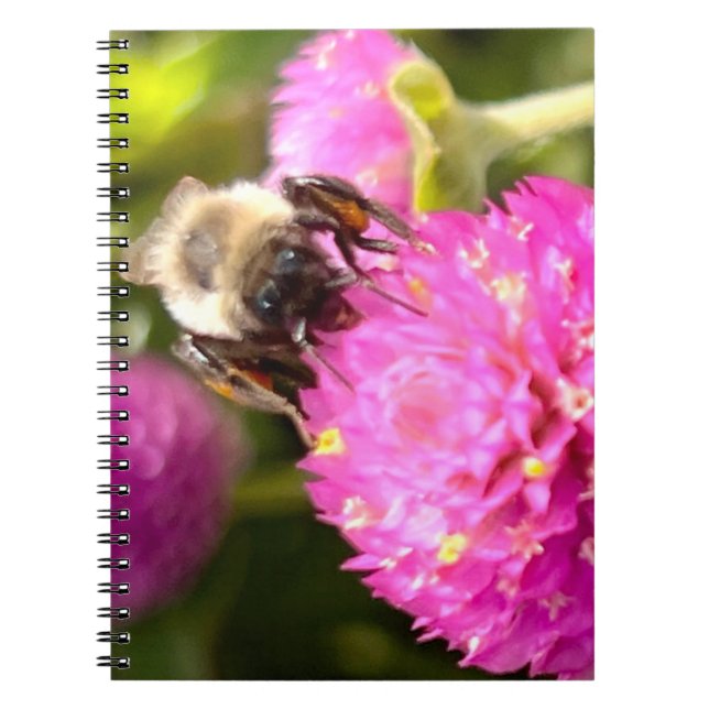 Bin och Blommar Anteckningsbok (Framsidan)