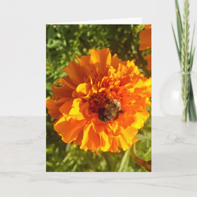 Bin och Blommar Hälsning Kort (Framsida)