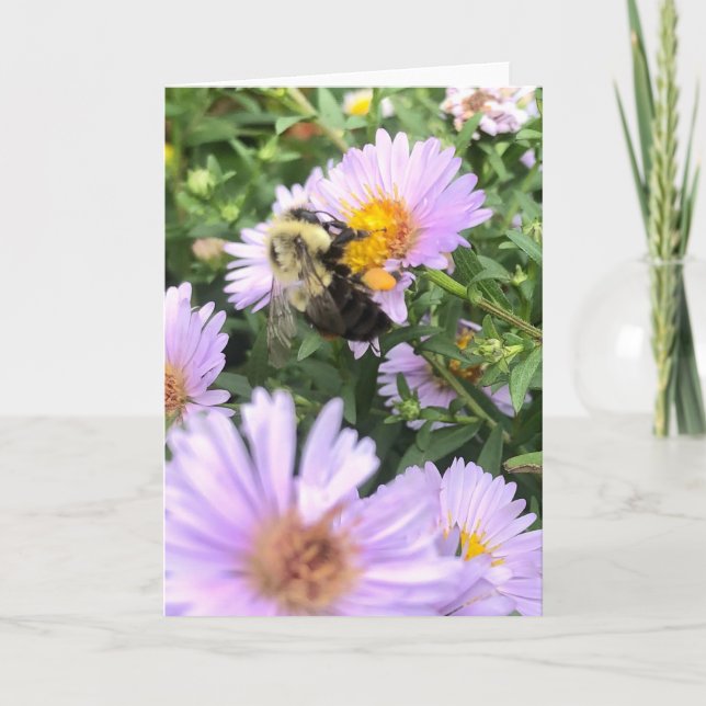 Bin och Blommar Hälsning Kort (Framsida)
