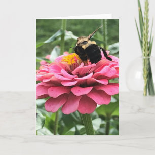 Bin och Blommar Hälsning Kort